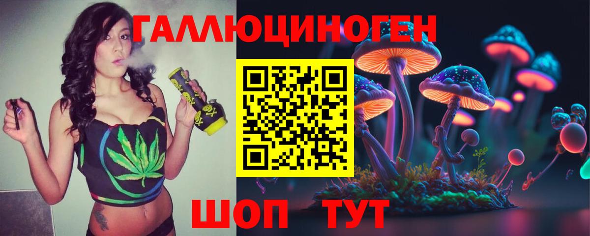 где найти наркотики  Вход с VPN  Черняховск  Псилоцибиновые грибы ЛСД  Галлюциногенные грибы Cubensis 